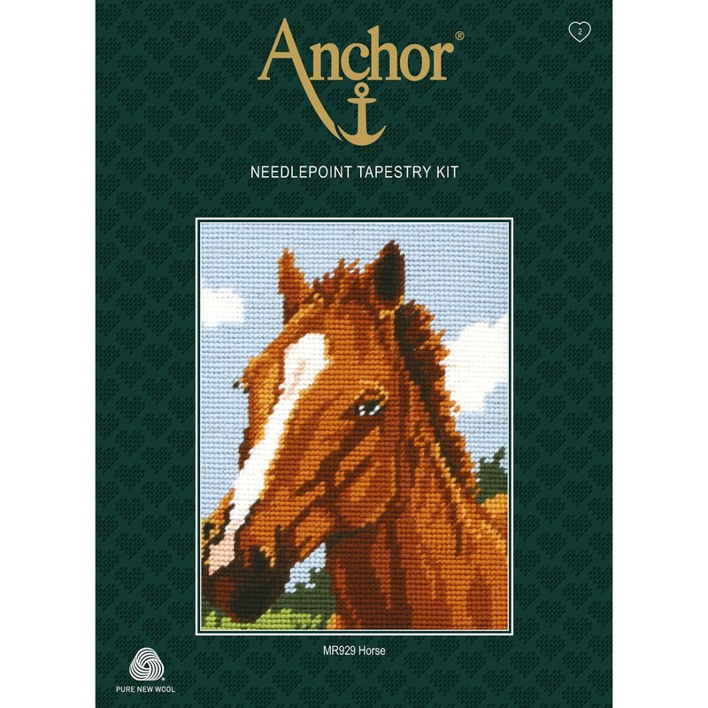 Setul de tapiserie Anchor Starter - Cal